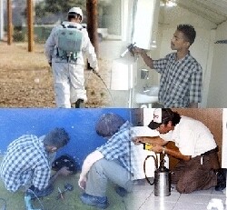 Inspect-A-Pest