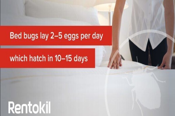 Rentokil Pest Control