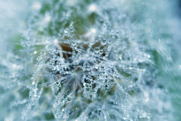 Water Purification Chemicals & Plant CC