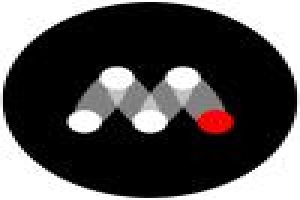 Mandevco Consultants (Pty) Ltd