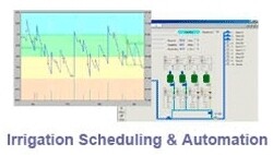 D F M Software Solutions