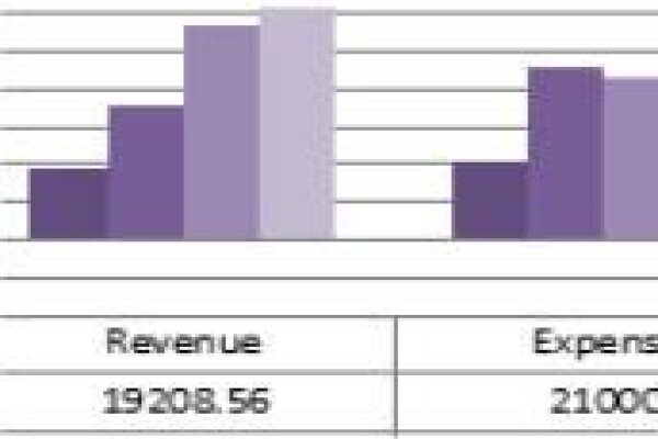 Ag Computer Accounting Cc