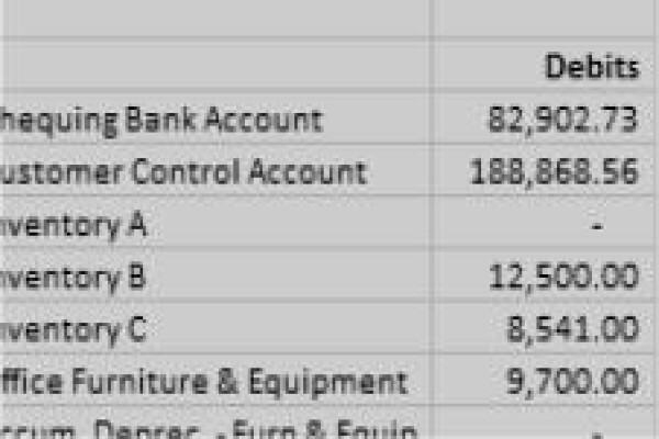 Ag Computer Accounting Cc