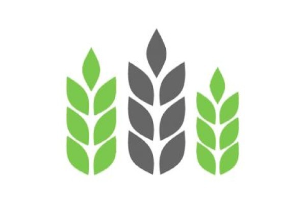Plan-A-Head Management Systems