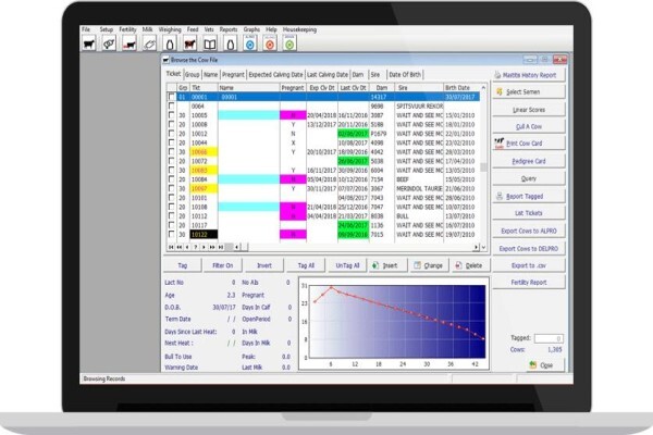 Plan-A-Head Management Systems
