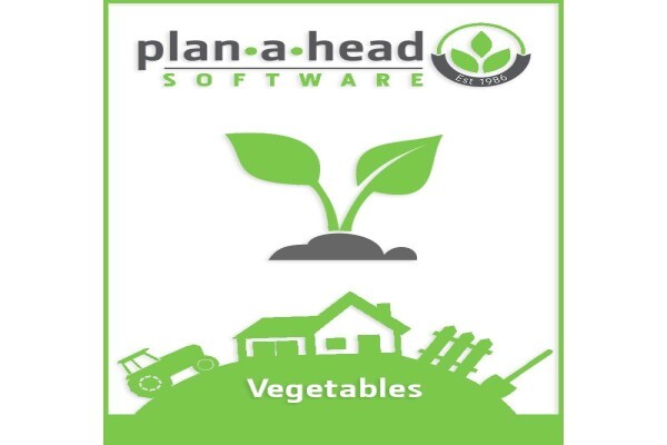 Plan-A-Head Management Systems