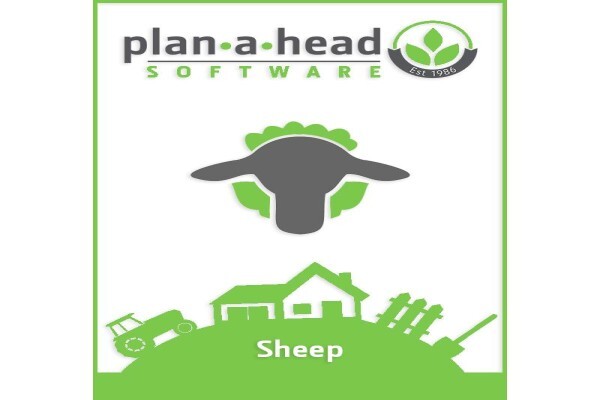 Plan-A-Head Management Systems
