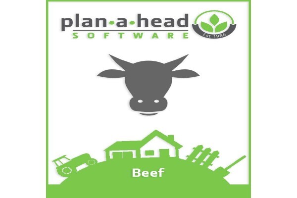 Plan-A-Head Management Systems