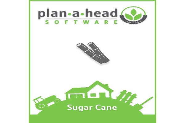 Plan-A-Head Management Systems