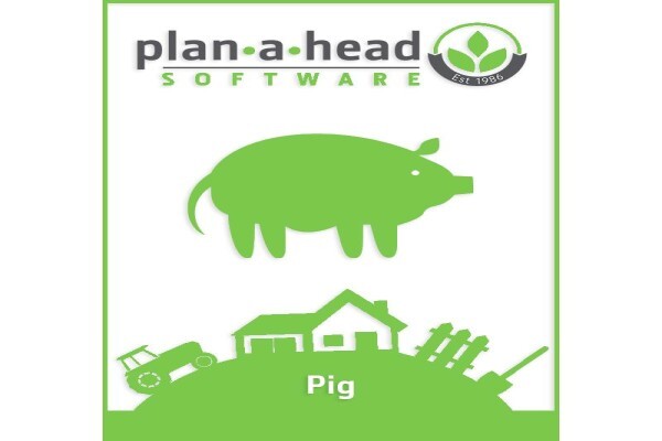 Plan-A-Head Management Systems