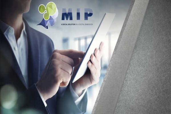 M I P Holding (Pty) Ltd