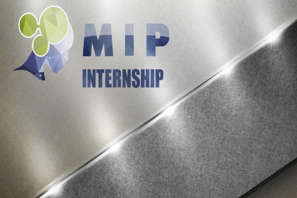 M I P Holding (Pty) Ltd