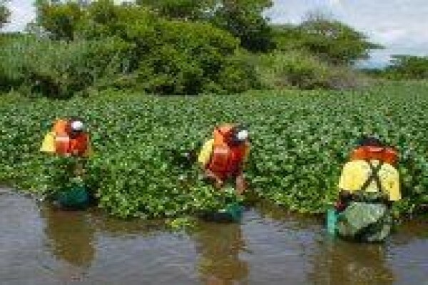 Natural Resources Management