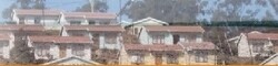 Rural Development & Land Reform