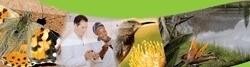 Agriculture (Louis Trichardt)