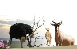 Economic Development Tourism Environmental Affairs