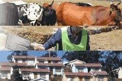 Rural Development & Land Reform