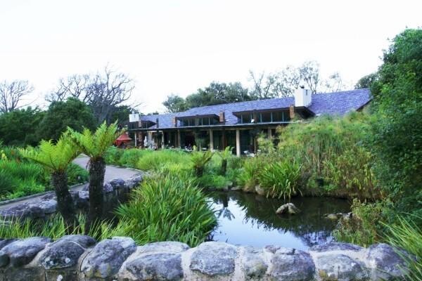 Moyo - Zoo Lake