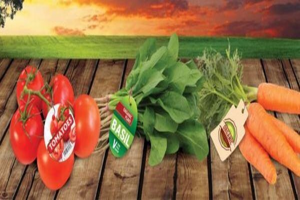 Label-It Packaging (Pty) Ltd