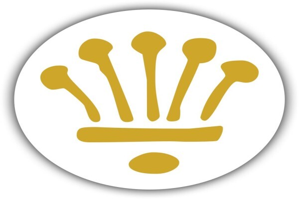Topco Media (Pty) Ltd