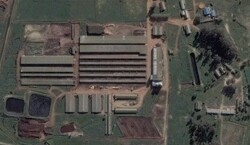 Braams Voerkraal