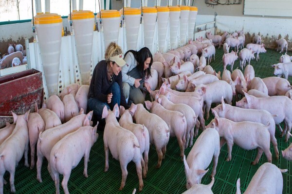 Meadow Feeds Eastern Cape (Pty) Ltd