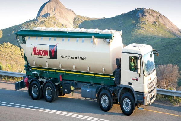 Meadow Feeds (Natal)
