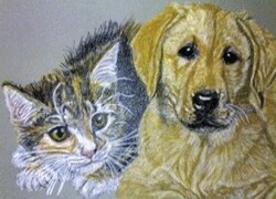 Lorna's Pet Salon