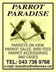 Parrot Paradise