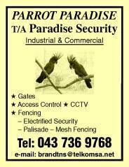 Parrot Paradise
