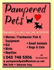 Pampered Pets