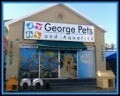 George Pets & Aquatics