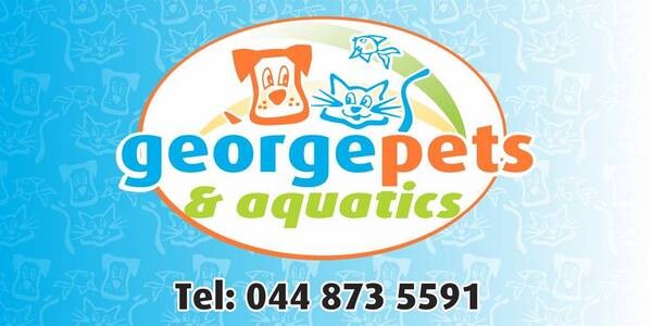 George Pets & Aquatics