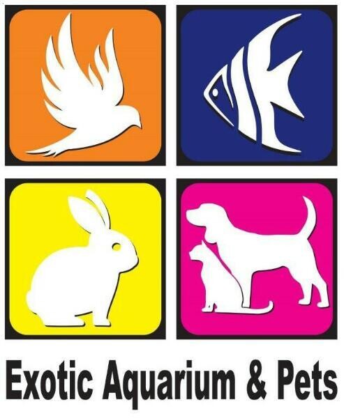 Exotic Aquariums & Pets