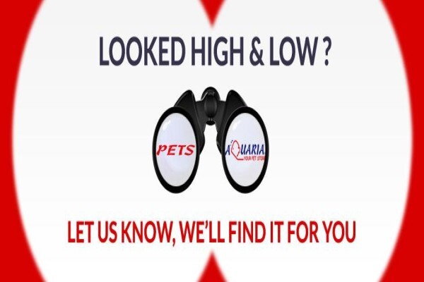 Pets Aquaria