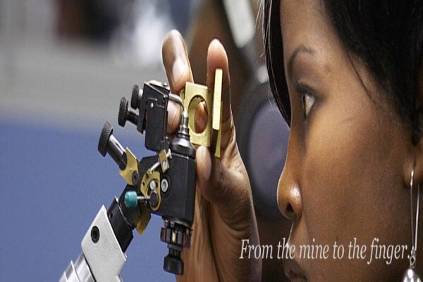 Daneel Diamond Manufacturers