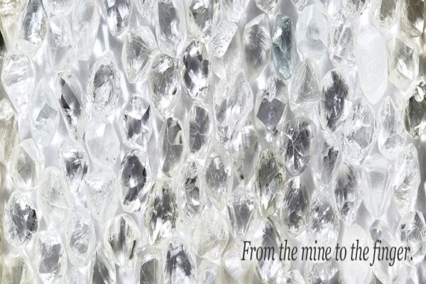Daneel Diamond Manufacturers