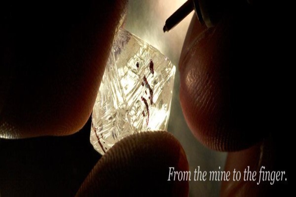 Daneel Diamond Manufacturers