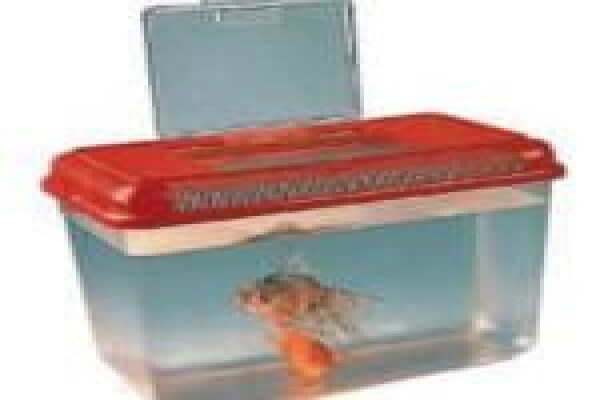 Pets Aquaria