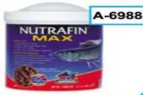 Pets Aquaria