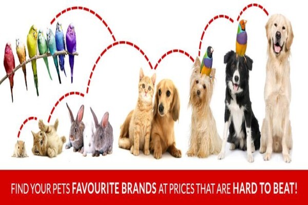 Pets Aquaria