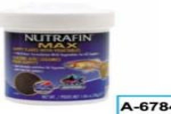 Pets Aquaria
