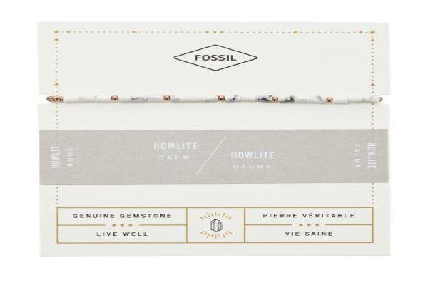 Fossil Shop