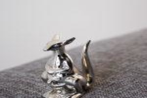 Simply Silver:Tygervalleisntrm 565