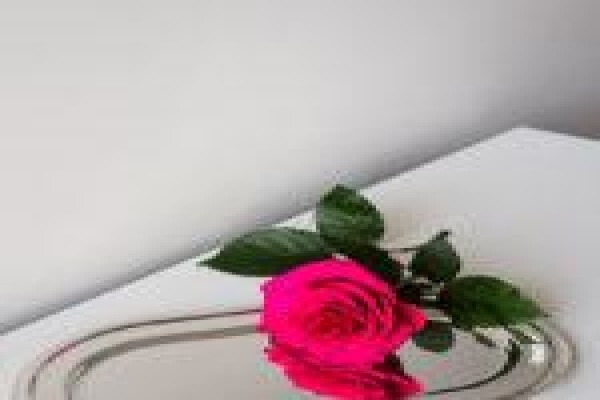 Simply Silver:Tygervalleisntrm 565