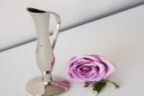 Simply Silver:Tygervalleisntrm 565