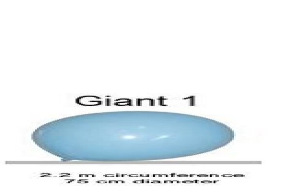 Balloon Just 4 U