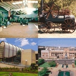 Ditsong Museums Of South Africa