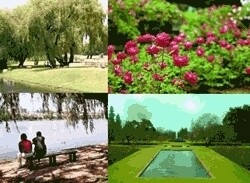 Johannesburg Botanical Gardens