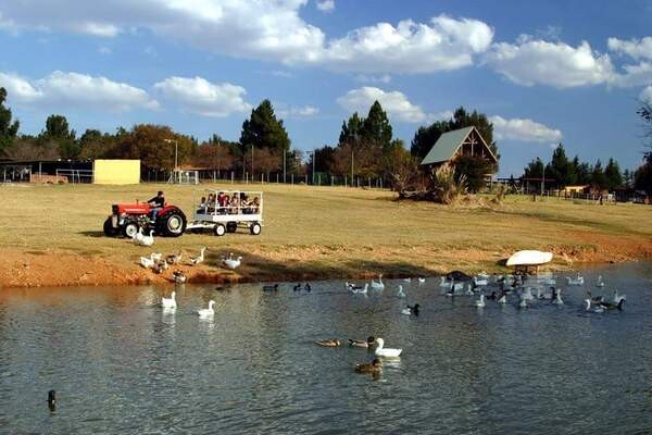 Kariba Ranch Ostrich Farm